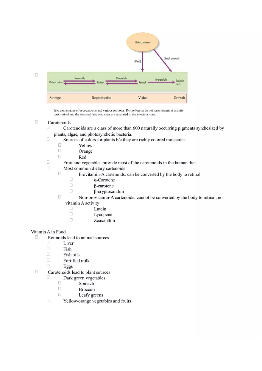 Chapter 6 Alcohol - Fat Soluble Vitamins Pt1 - Page 11