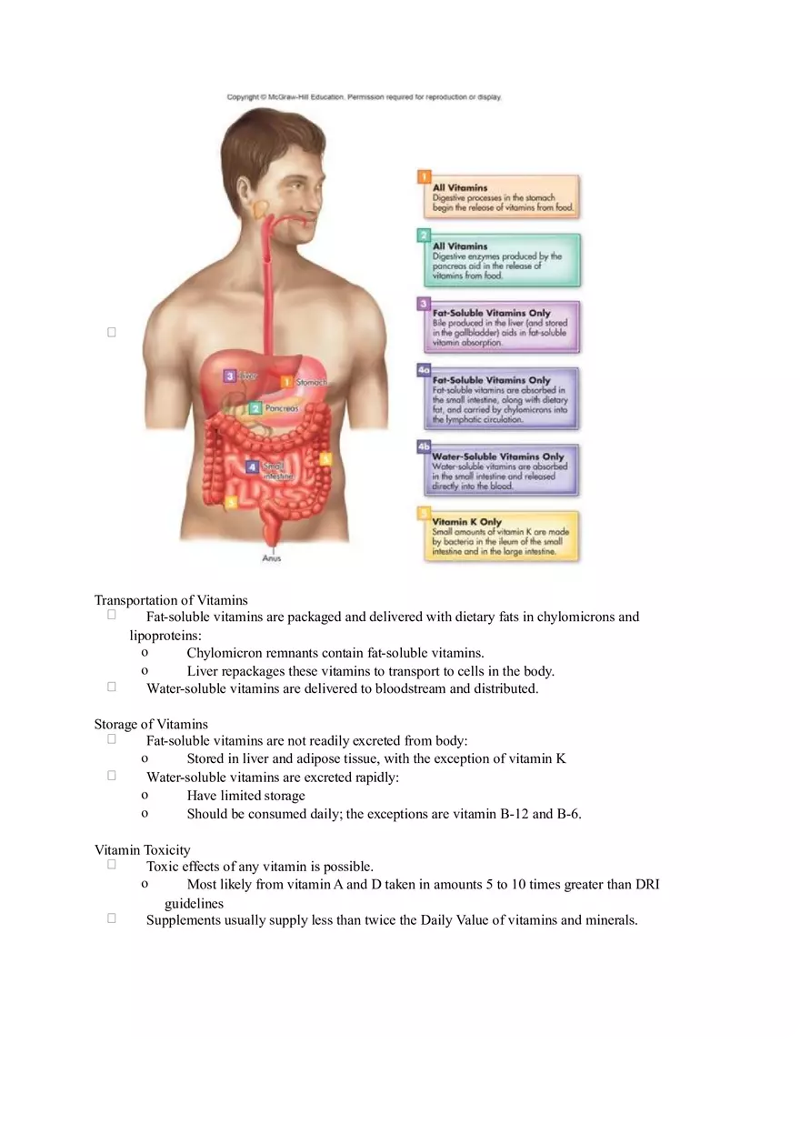 Chapter 6 Alcohol - Fat Soluble Vitamins Pt1 - Page 2