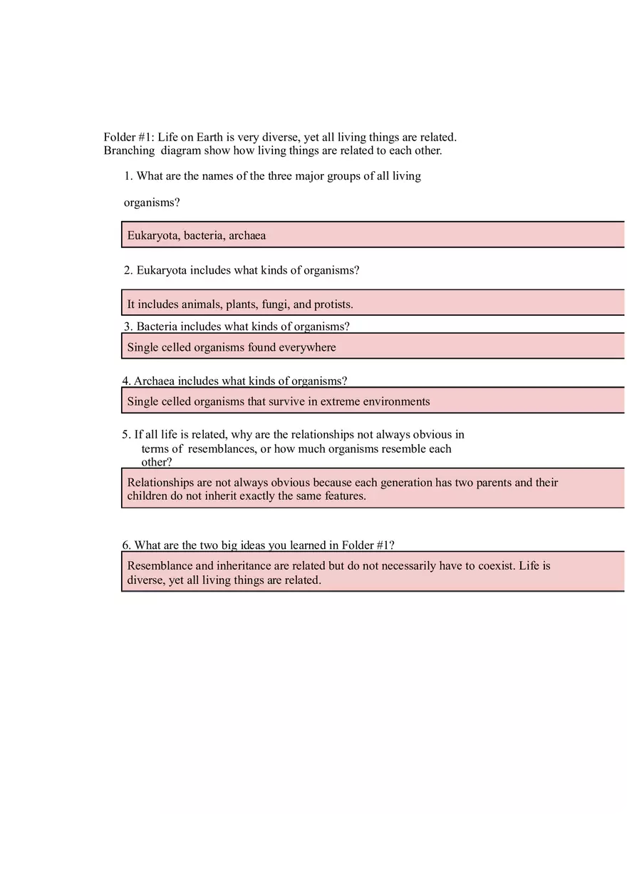 What did T Rex Taste Like (Answer Key) - Page 1
