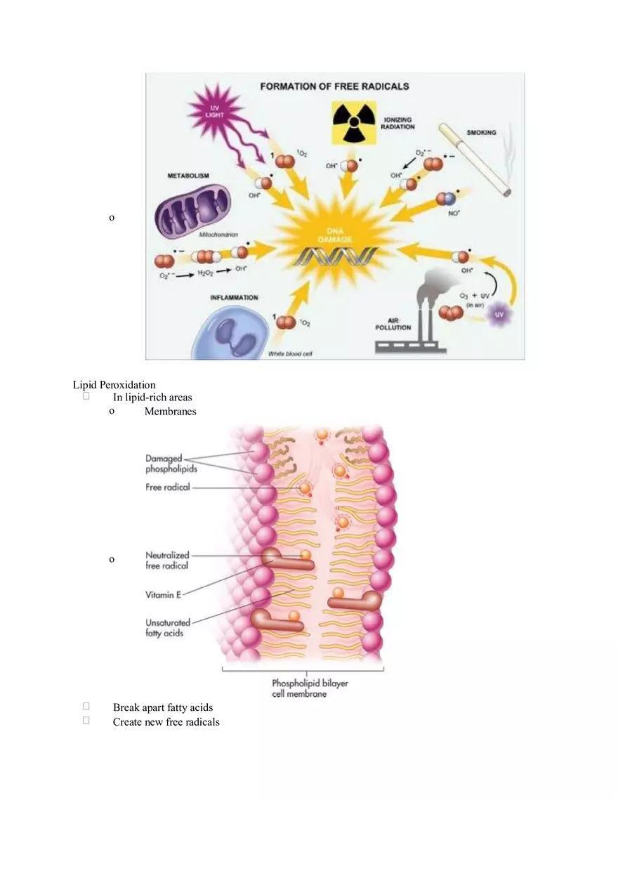 Chapter 7 Alcohol - Fat Soluble Vitamins Pt 2 - Page 11
