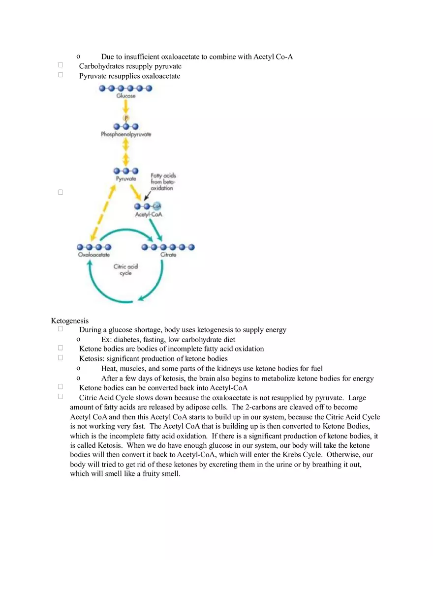 Chapter 2 Alcohol - Metabolism - Page 7