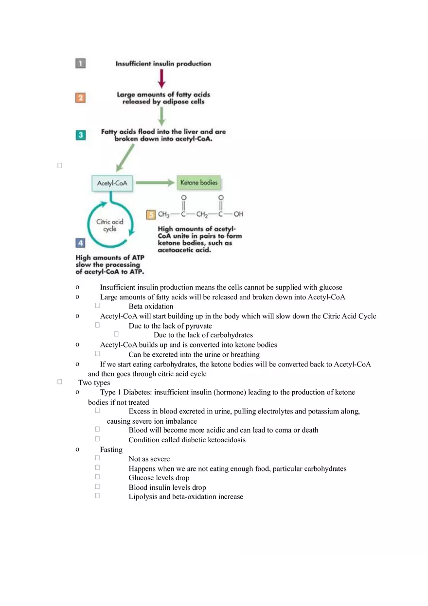 Chapter 2 Alcohol - Metabolism - Page 8