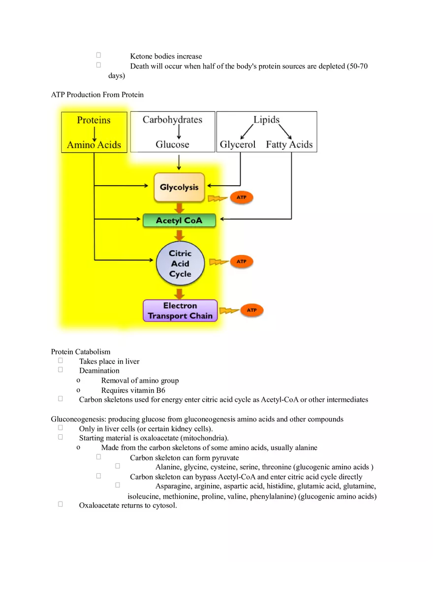 Chapter 2 Alcohol - Metabolism - Page 9