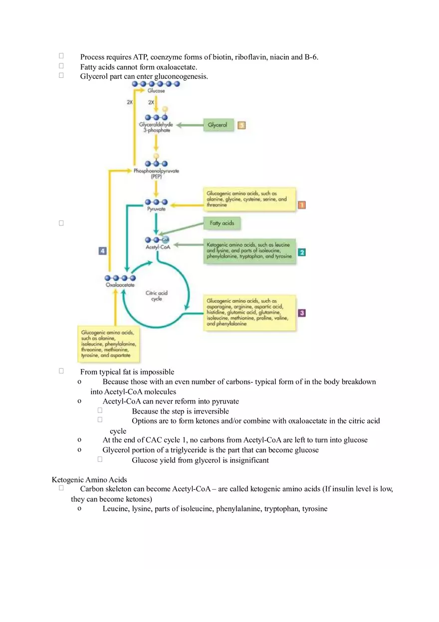 Chapter 2 Alcohol - Metabolism - Page 10