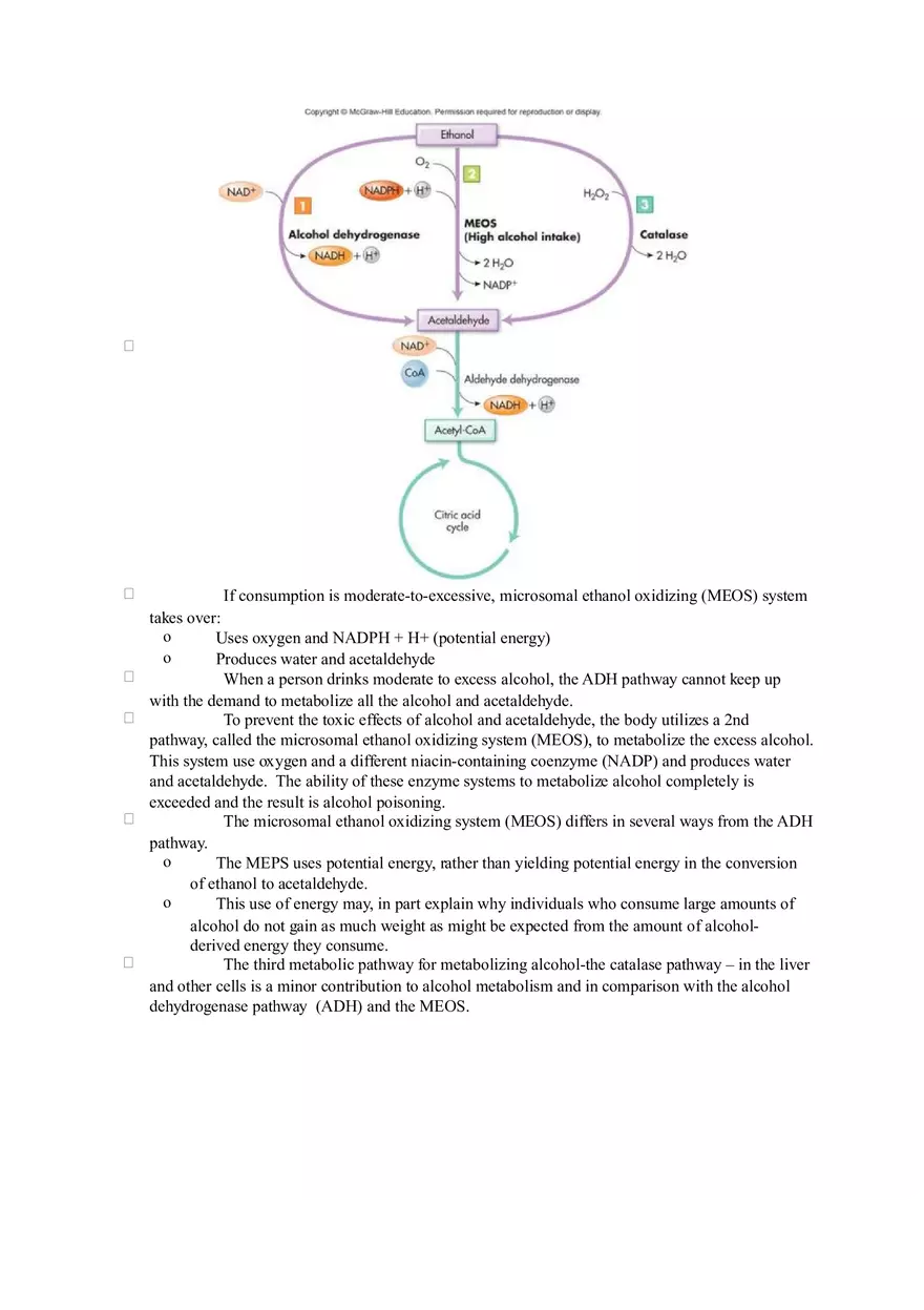 Chapter 2 Alcohol - Metabolism - Page 12