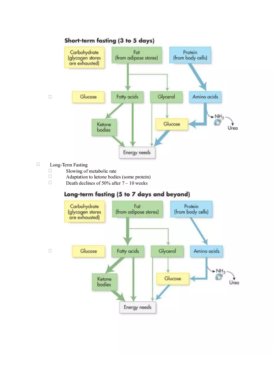 Chapter 2 Alcohol - Metabolism - Page 18