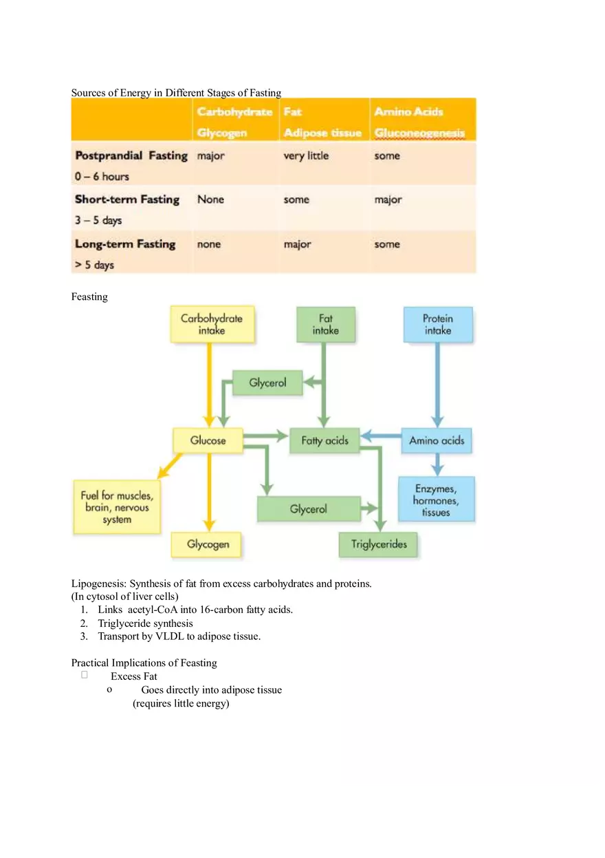Chapter 2 Alcohol - Metabolism - Page 19