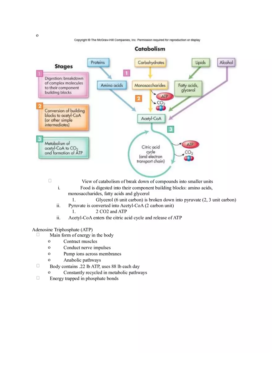 Chapter 2 Alcohol - Metabolism - Page 21