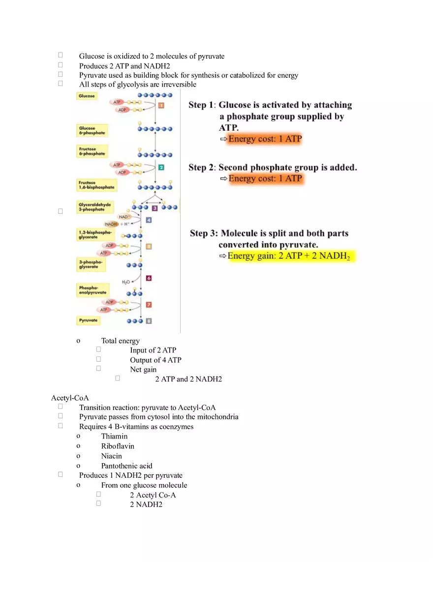 Chapter 2 Alcohol - Metabolism - Page 25