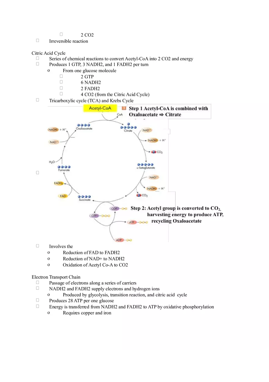 Chapter 2 Alcohol - Metabolism - Page 26