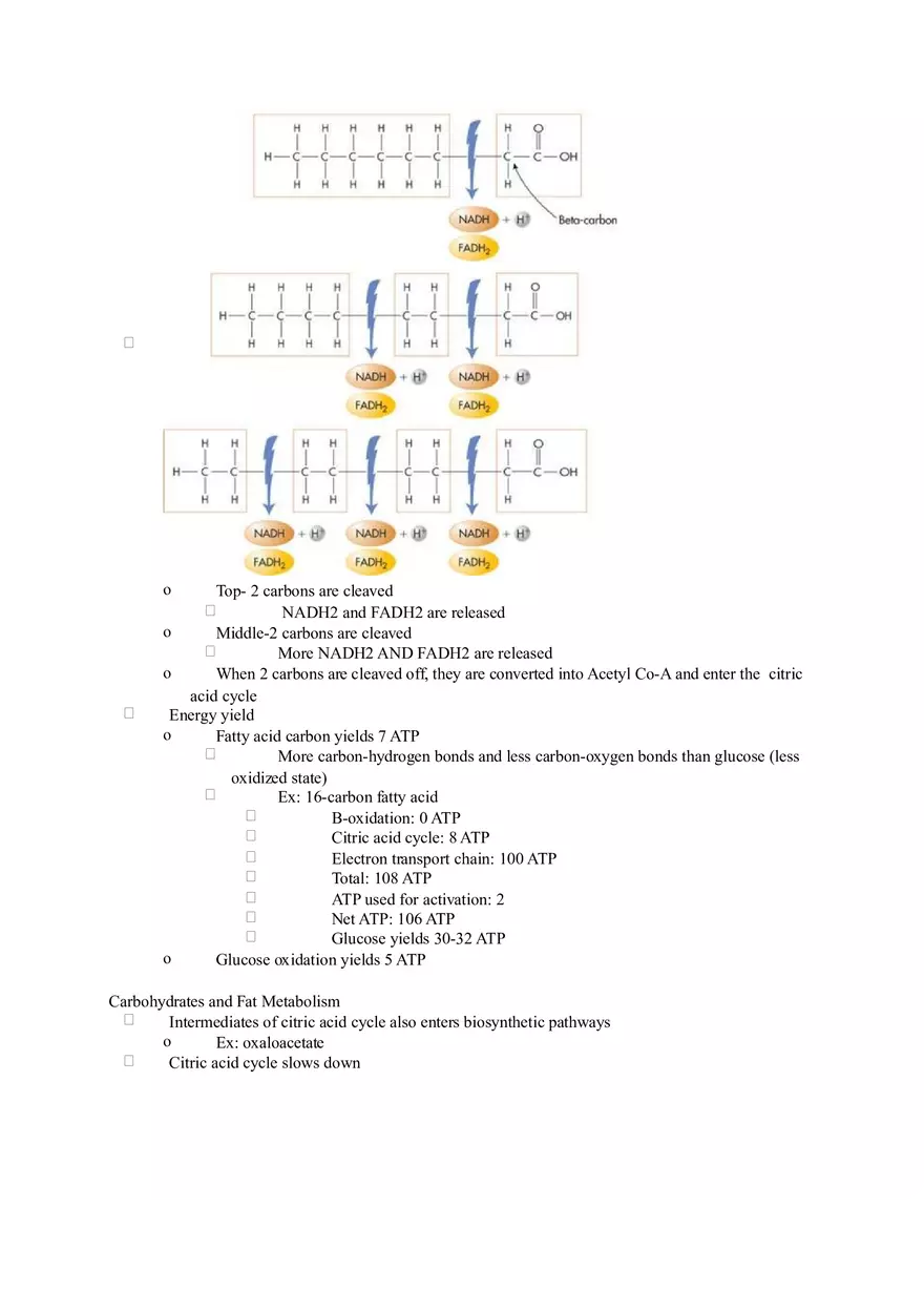 Chapter 2 Alcohol - Metabolism - Page 6