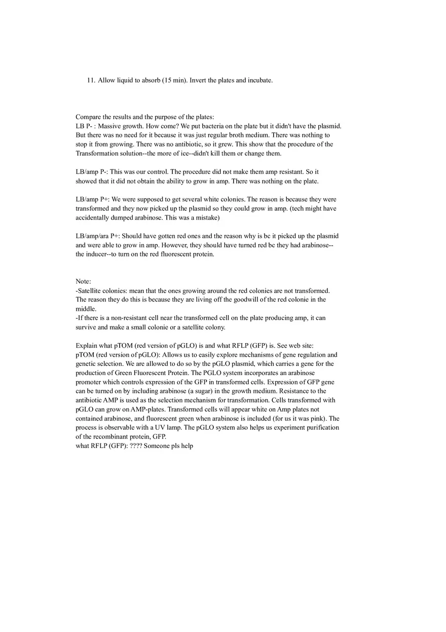 Relationship of Capsules with Virulence and Capsule Staining Techniques Lab - Page 8