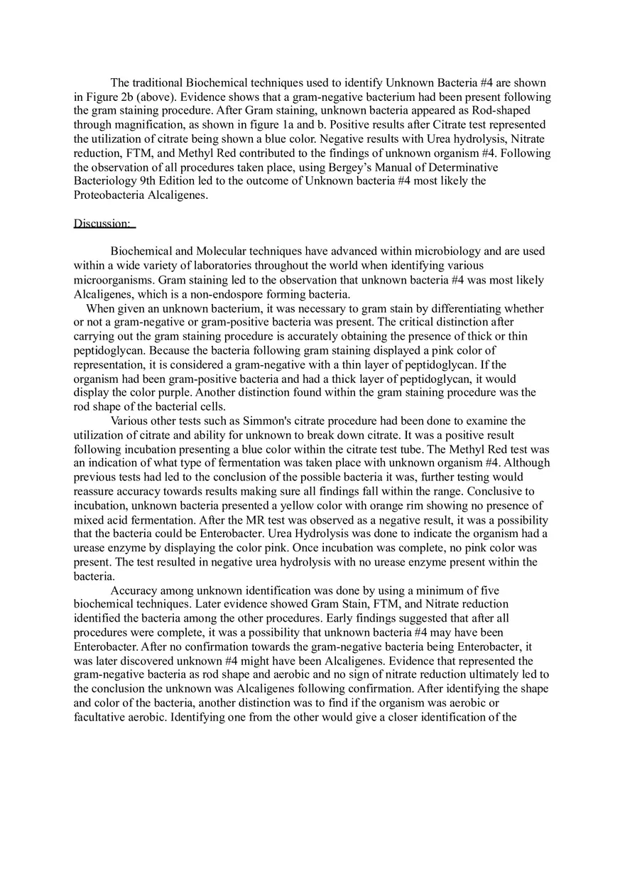 The Use of Biochemical Techniques in Identifying Unknown Bacteria #4 Report - Page 7