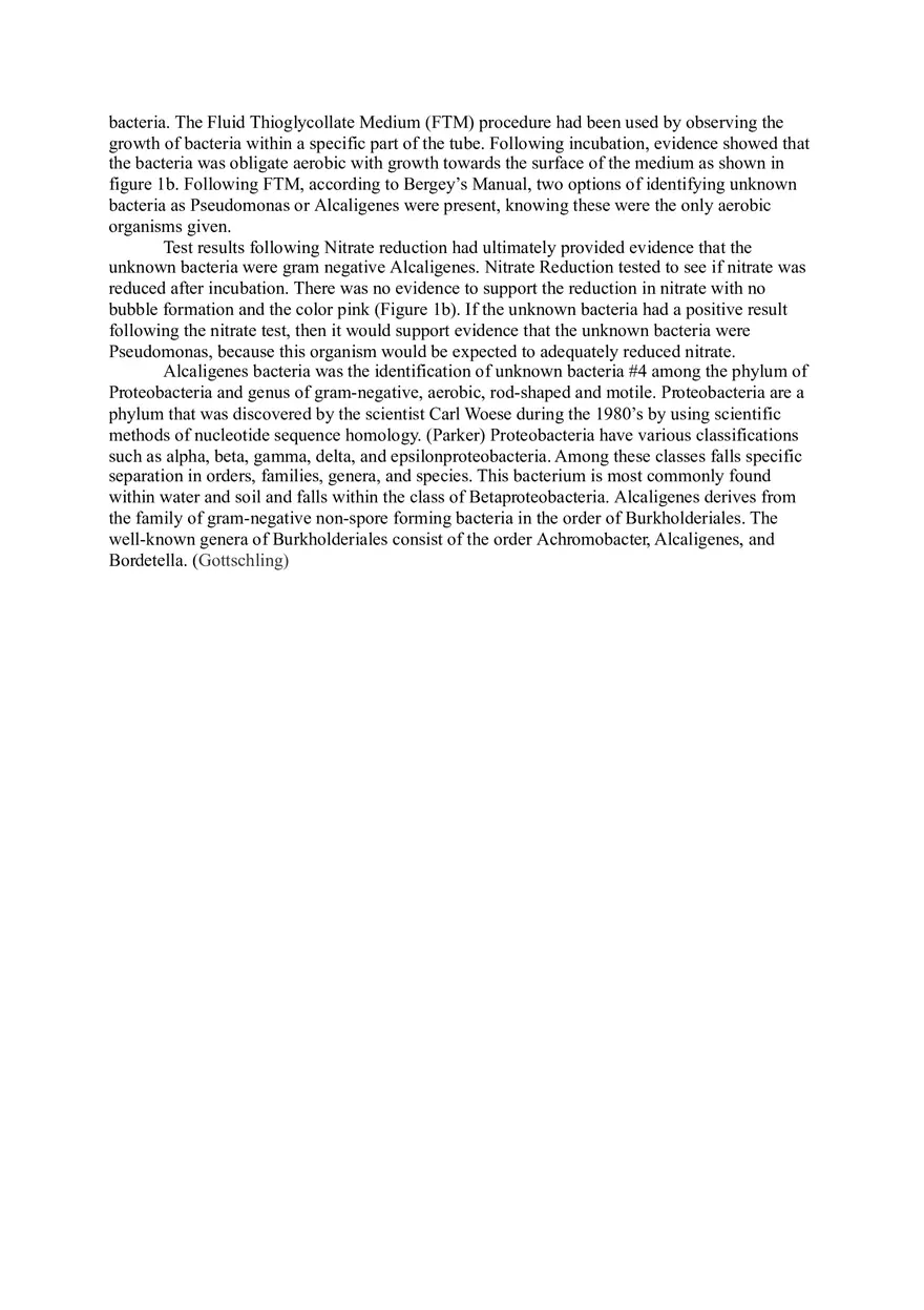 The Use of Biochemical Techniques in Identifying Unknown Bacteria #4 Report - Page 8