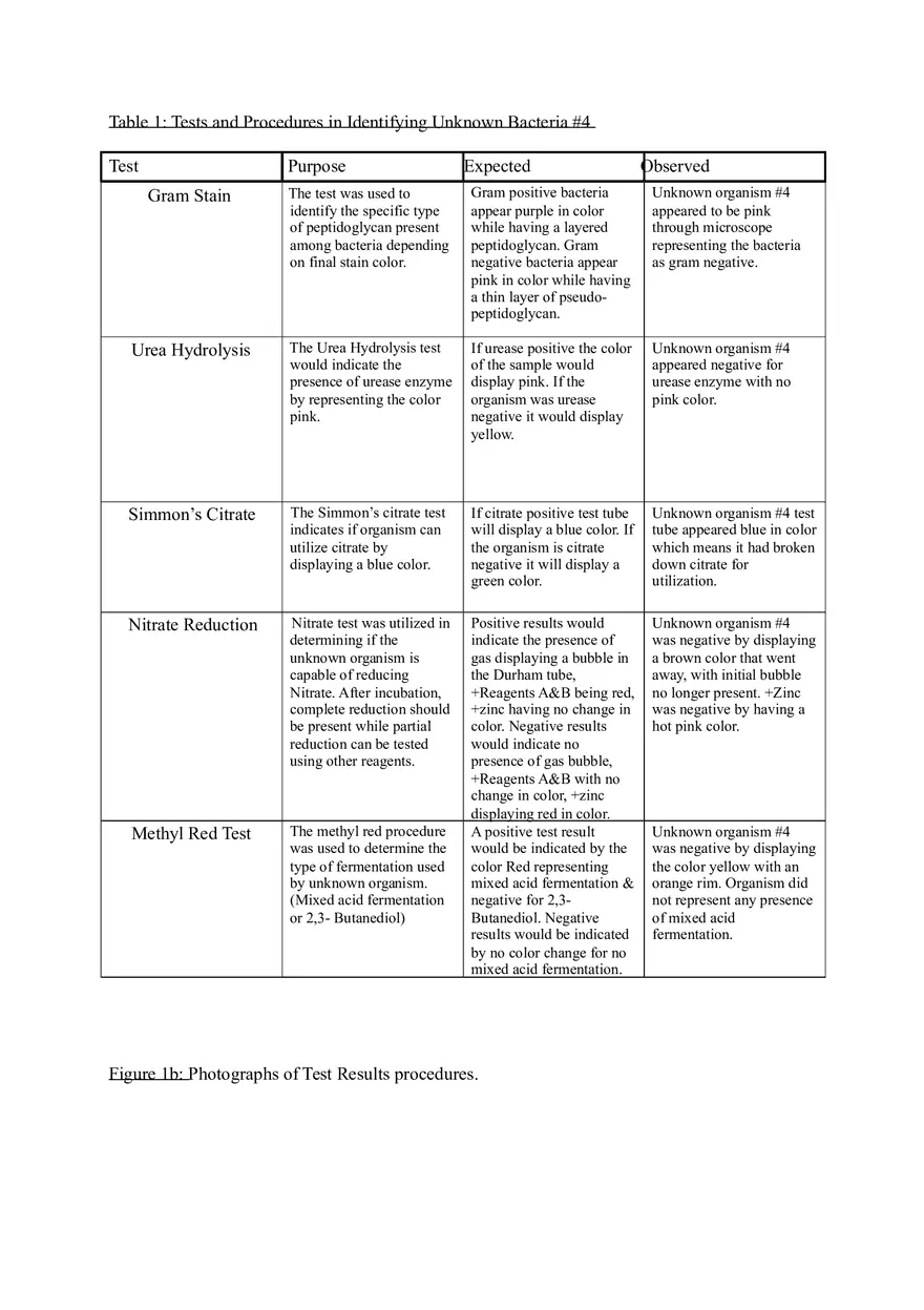 The Use of Biochemical Techniques in Identifying Unknown Bacteria #4 Report - Page 5
