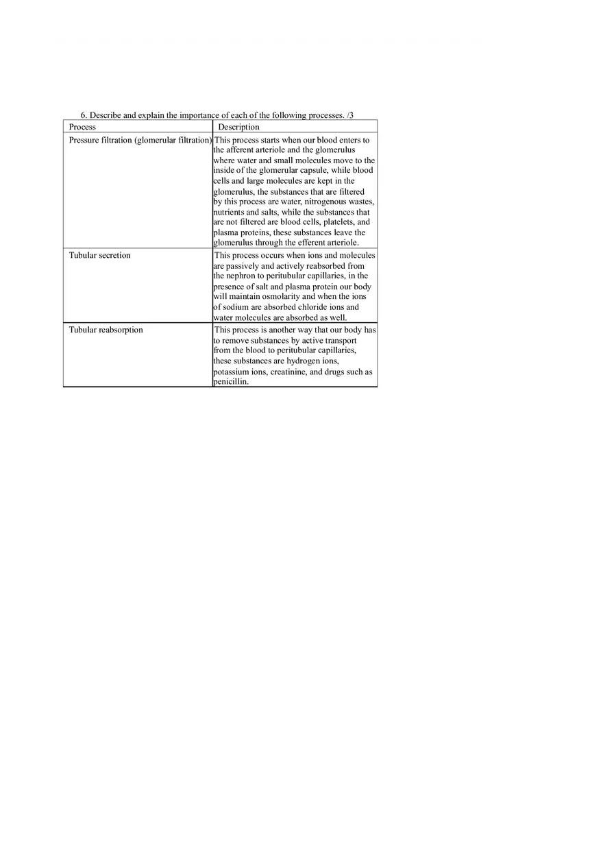 Urinary System Complete Assignment - Page 5
