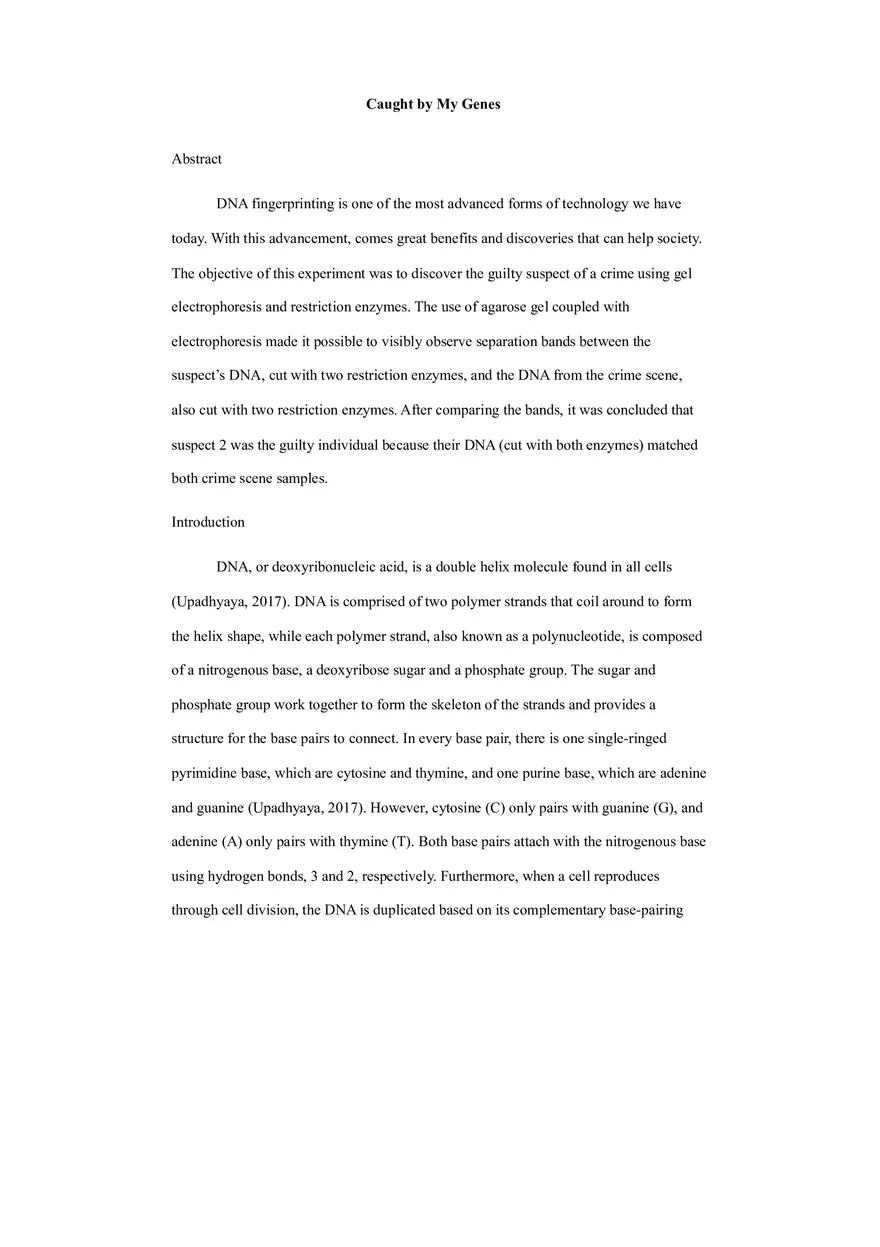 Dna Fingerprinting - Lab Experiment - Page 1