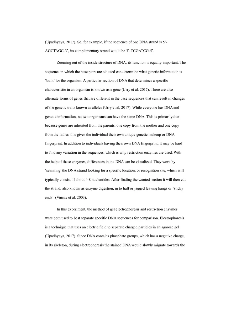 Dna Fingerprinting - Lab Experiment - Page 2