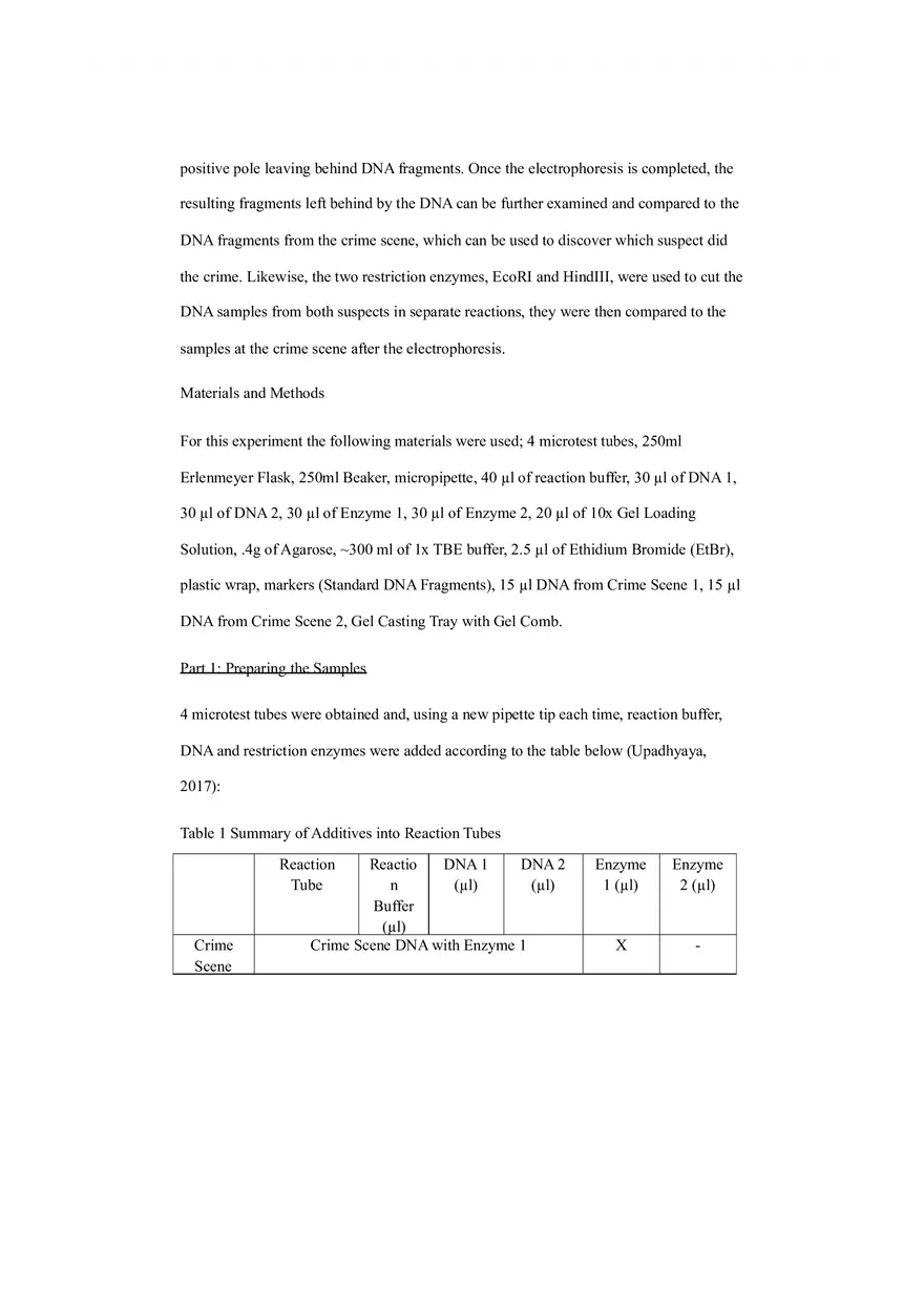 Dna Fingerprinting - Lab Experiment - Page 3