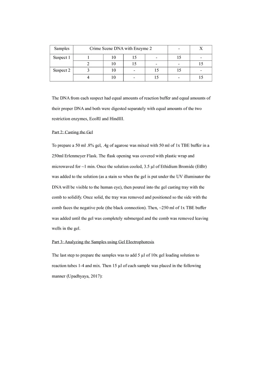Dna Fingerprinting - Lab Experiment - Page 4