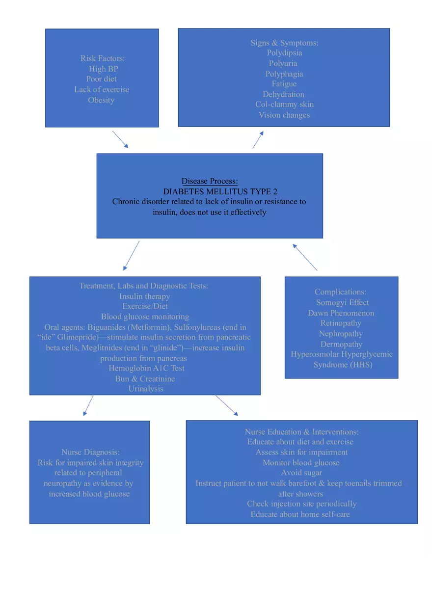 Concept Map Diabetes Mellitus Type 2 - Page 1