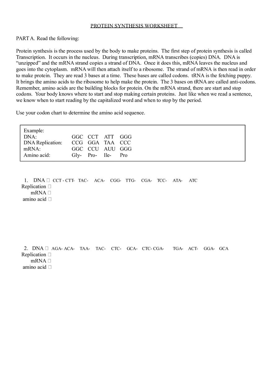 Practice Test on Protein Synthesis Worksheet - Page 1