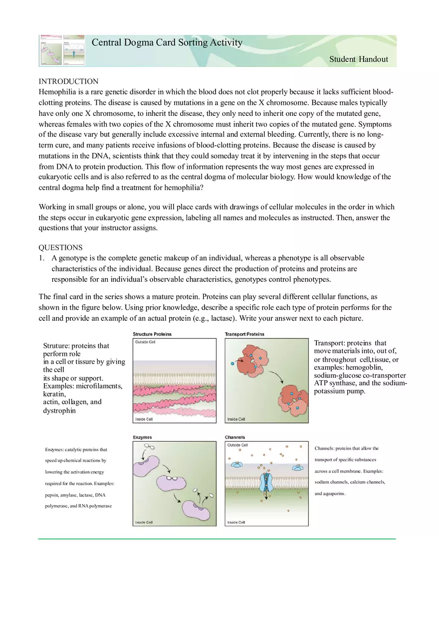 Understanding Hemophilia - Potential Treatments through the Central Dogma of Molecular Biology - Page 1