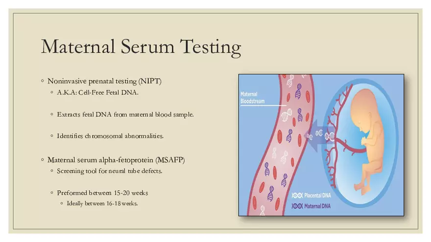 Fetal Development, Screenings, and Diagnostics - Page 7