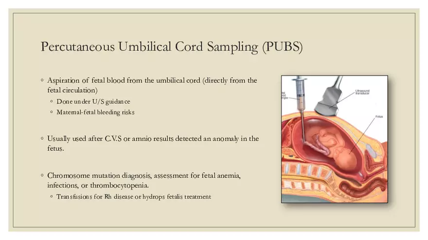 Fetal Development, Screenings, and Diagnostics - Page 11
