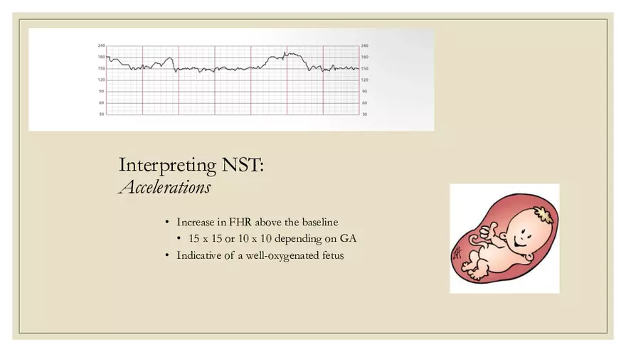 Fetal Development, Screenings, and Diagnostics - Page 25