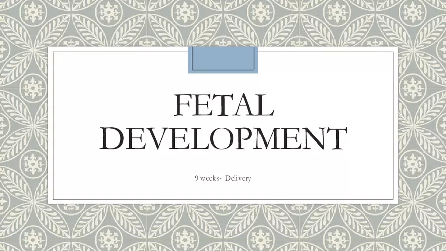 Fetal Development, Screenings, and Diagnostics - Page 1