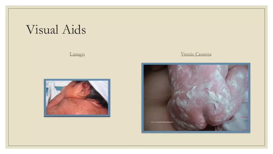 Fetal Development, Screenings, and Diagnostics - Page 3