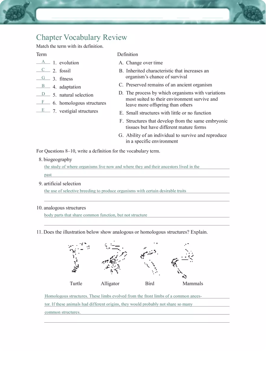 Key Evidence of Evolution Fossil Records, Homologous Structures, and Molecular Biology Explained - Page 7