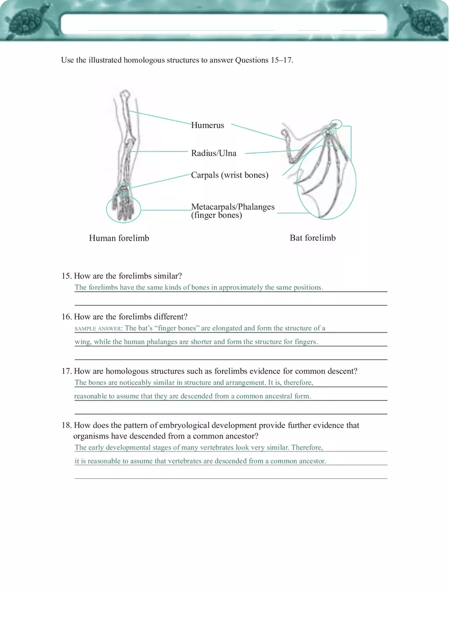 Key Evidence of Evolution Fossil Records, Homologous Structures, and Molecular Biology Explained - Page 4