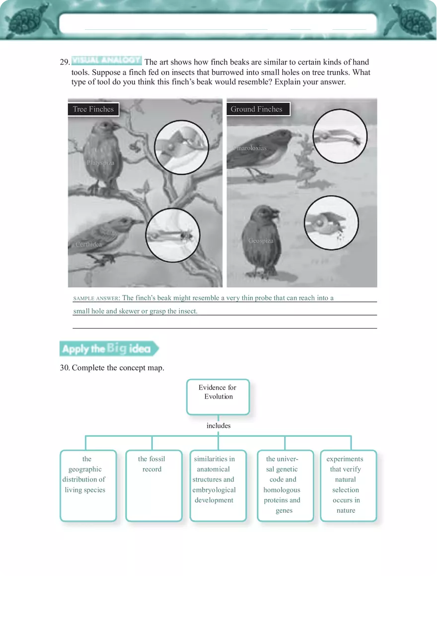Key Evidence of Evolution Fossil Records, Homologous Structures, and Molecular Biology Explained - Page 6