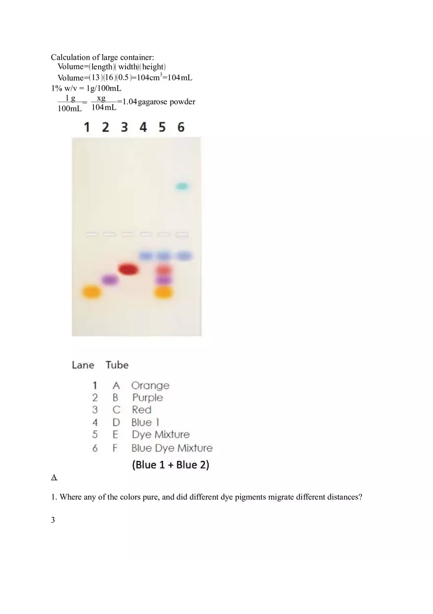 Lab Agarose Gel Electrophoresis - Page 3