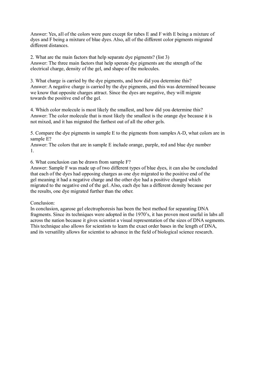 Lab Agarose Gel Electrophoresis - Page 4