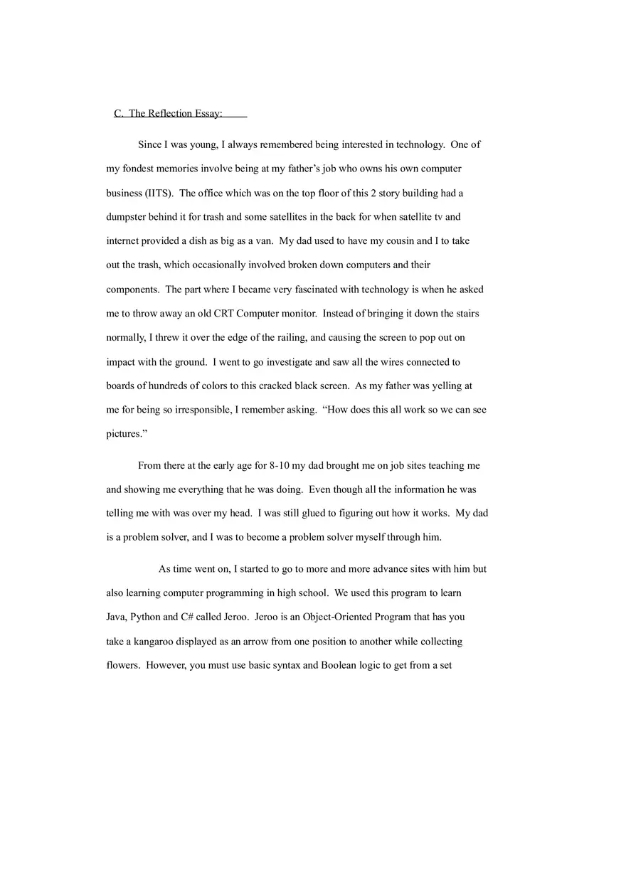 The Role of Communication and Adaptability in Information Technology - Page 6