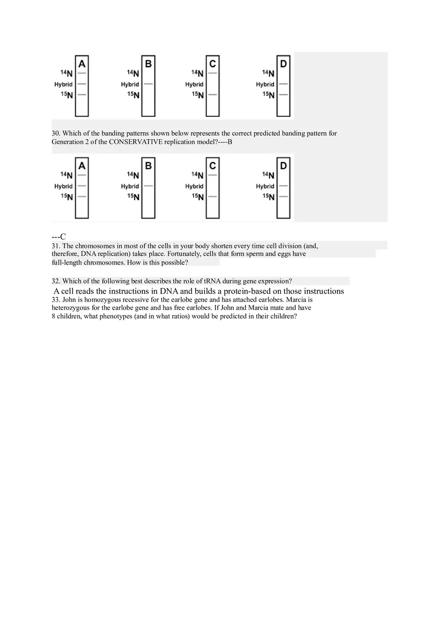 Genetics and Inheritance Patterns of Dominance and Gene Expression - Page 7