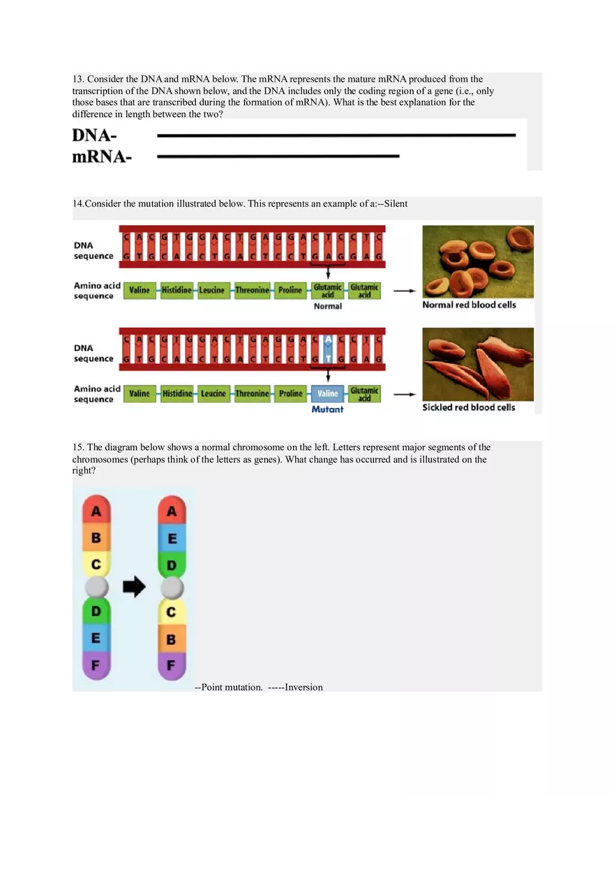 Genetics and Inheritance Patterns of Dominance and Gene Expression - Page 2