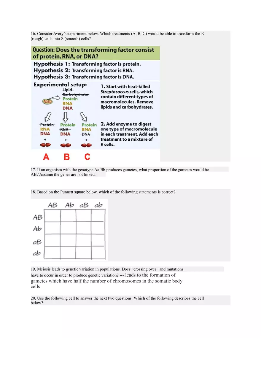 Genetics and Inheritance Patterns of Dominance and Gene Expression - Page 3