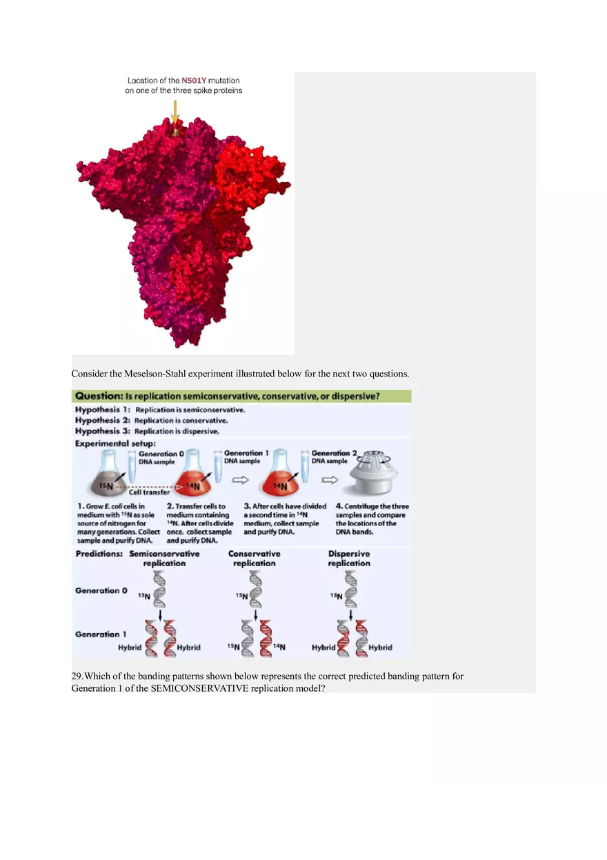 Genetics and Inheritance Patterns of Dominance and Gene Expression - Page 6