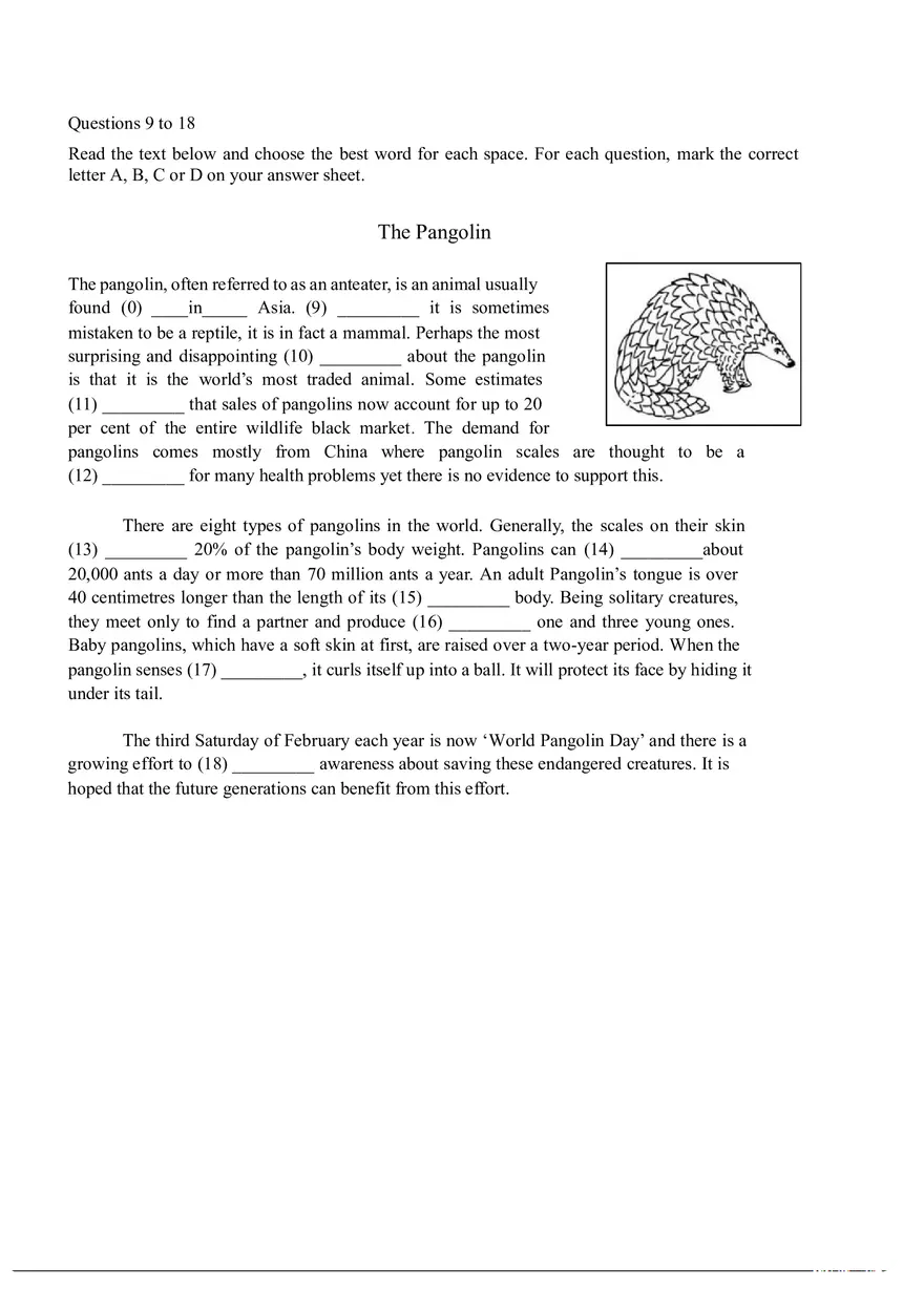 English The Pangolin Answer Key - Page 1