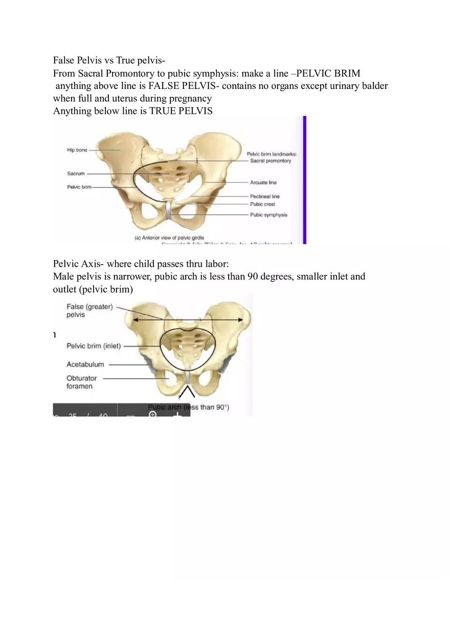 Appendicular Skeleton Study Guide - Page 16