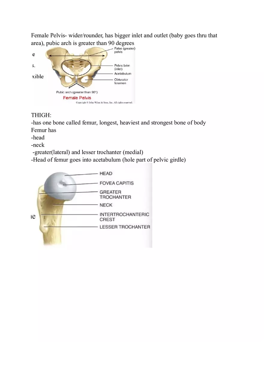 Appendicular Skeleton Study Guide - Page 17