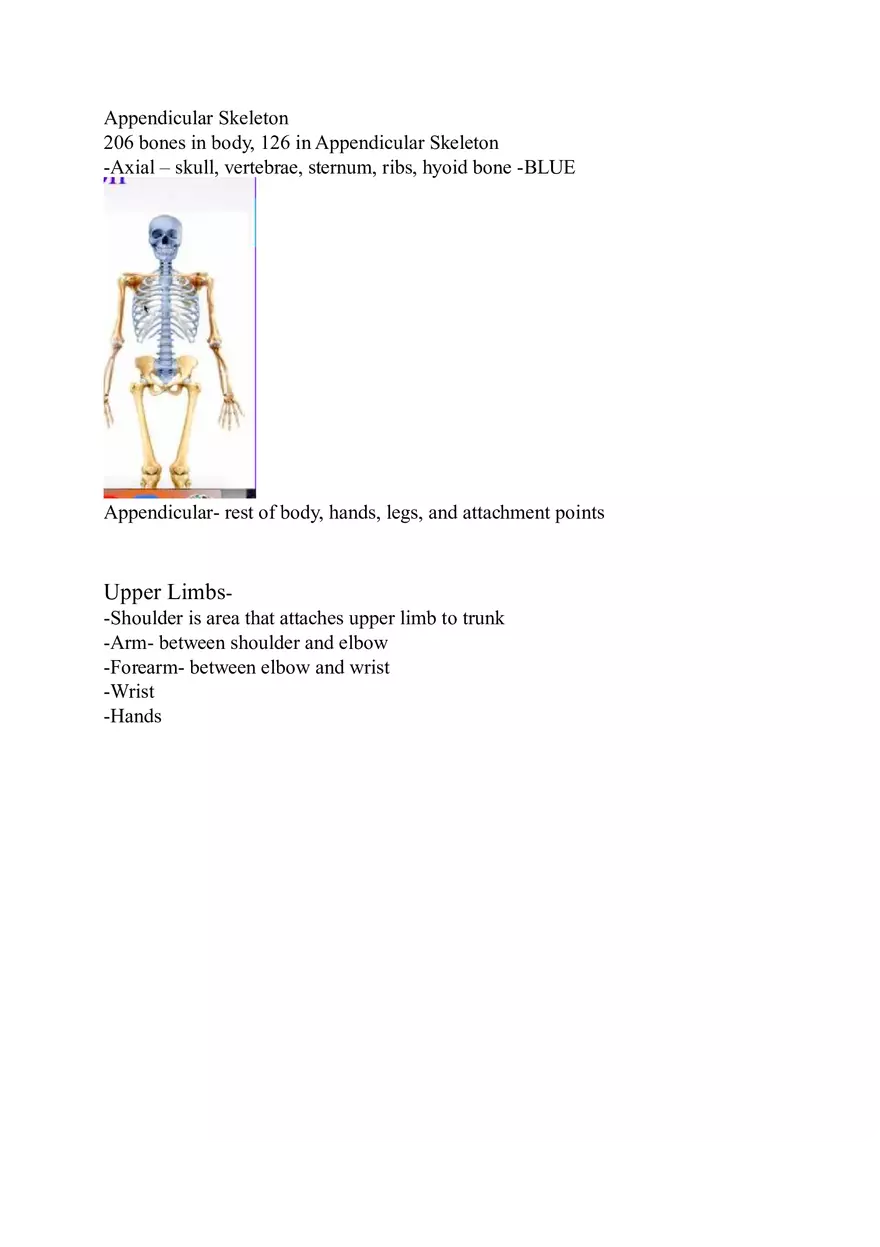 Appendicular Skeleton Study Guide - Page 1