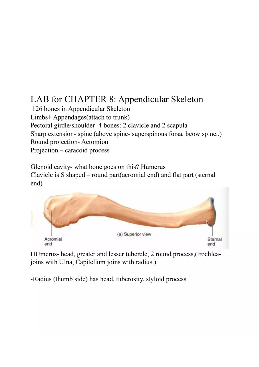 Appendicular Skeleton Study Guide - Page 6