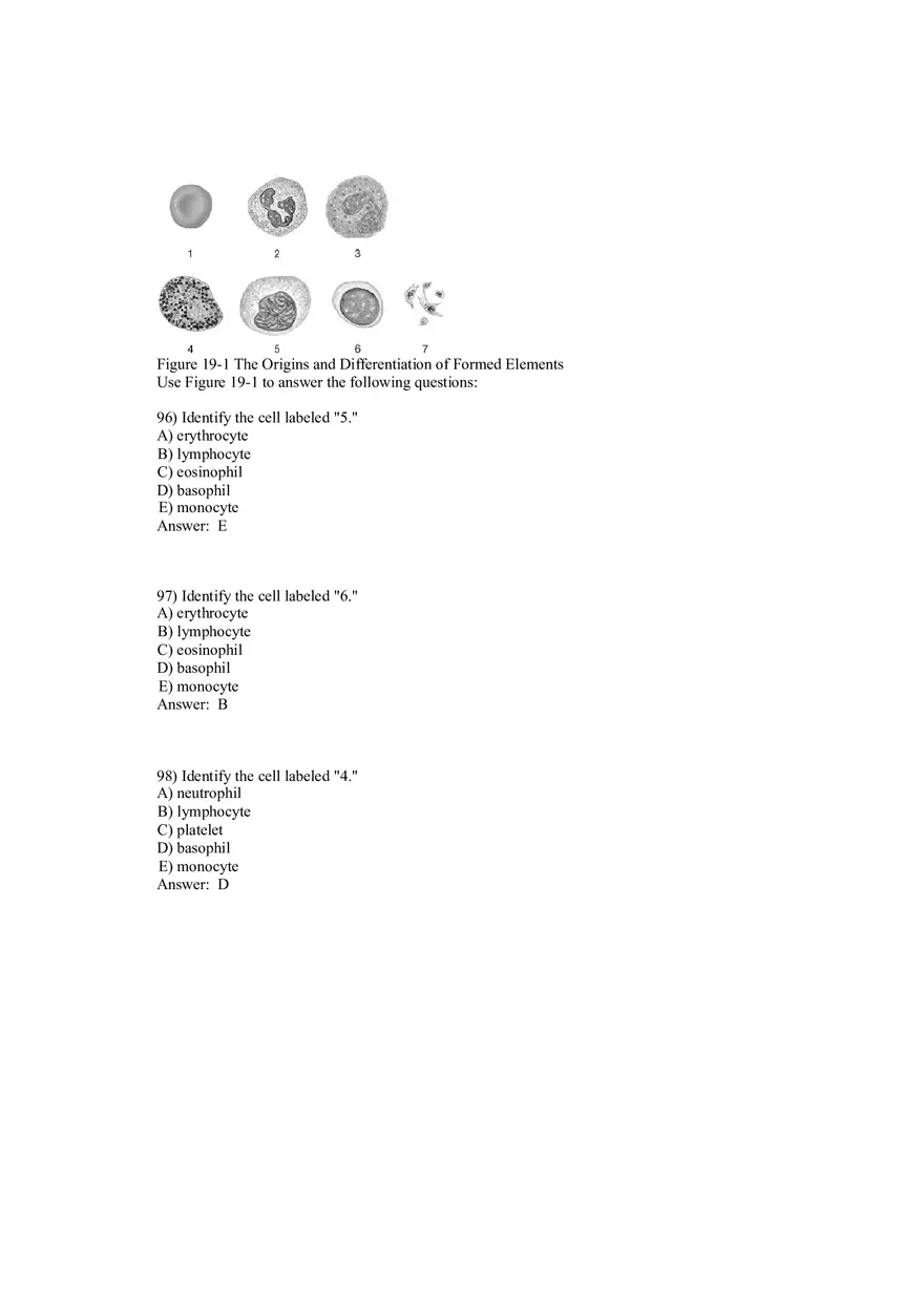 Anatomy and Physiology (Blood) Answer Key 81-146 - Page 10