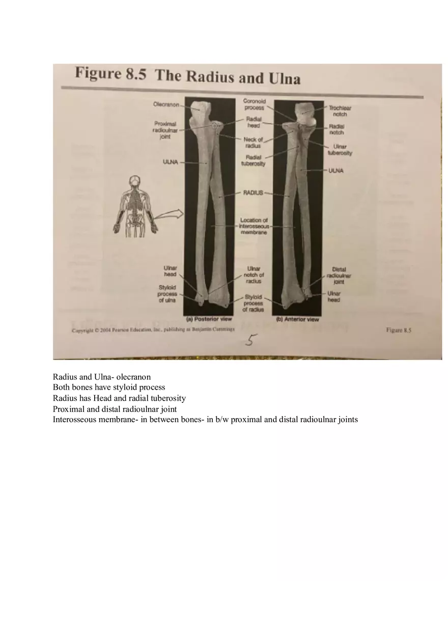 Appendicular Pamphlet Study Guide - Page 9