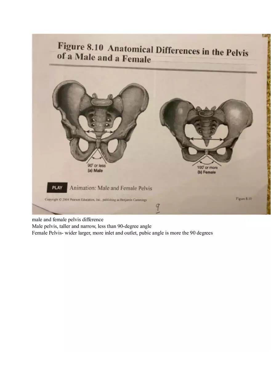 Appendicular Pamphlet Study Guide - Page 14